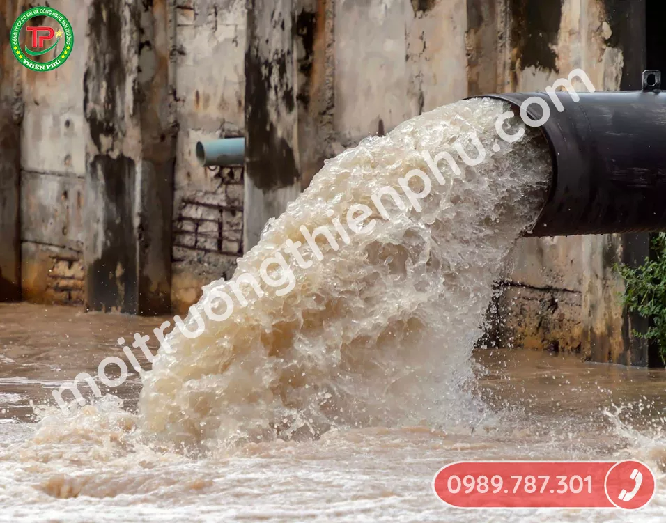 Việc xử lý nước thải tại Bình Định là rất quan trọng để bảo vệ môi trường sống